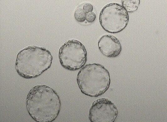 ���ݴ���